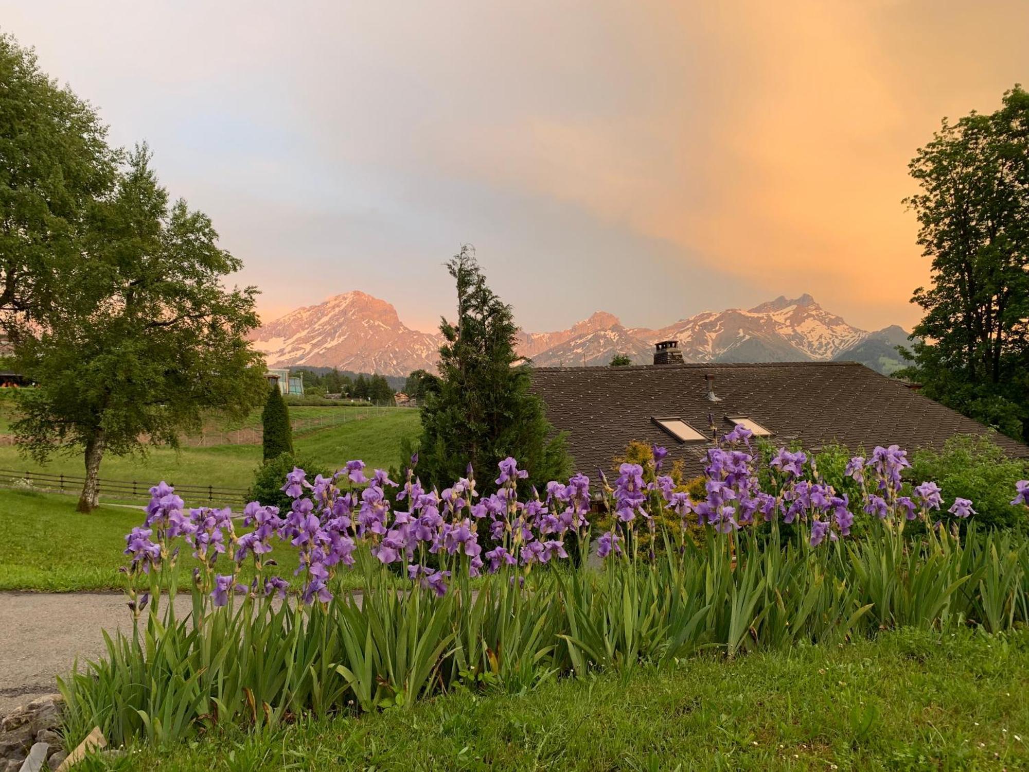 Chalet La Renarde Villars-sur-Ollon Zimmer foto