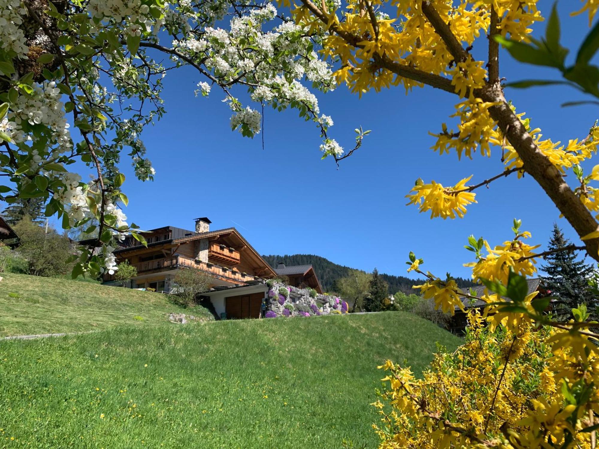 Chalet La Renarde Villars-sur-Ollon Exterior foto
